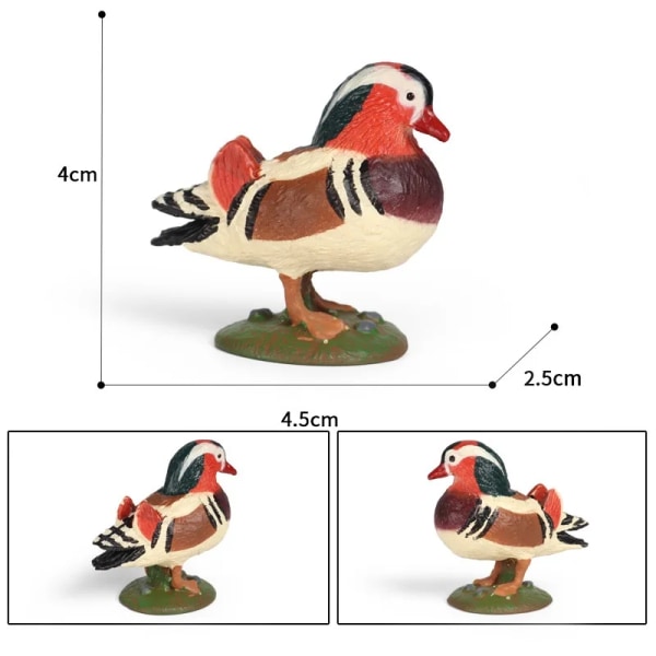 Realistisk miniatyrskogsfågelfigur Uggla Papegoja Tukan Örn Djur Modell Actionfigurer Pedagogiska barn samla leksaker