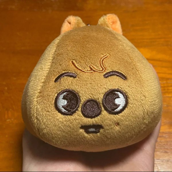 Kpop Stray Kids SKz Plushies 5 Star Dome Tour 2023 Straykids Plyschnyckelring Kawaii Tecknad Djurdocka Leksaker Statyett Ornament