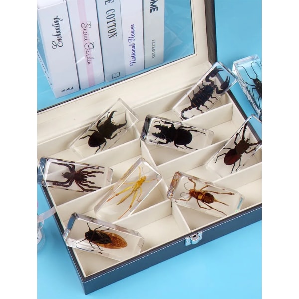 Riktigt smådjur Insektsexemplar Miljöharts Skalbagge Tusenfoting Scorpion Mantis Locust Spindel Stor present 110mm*43mm