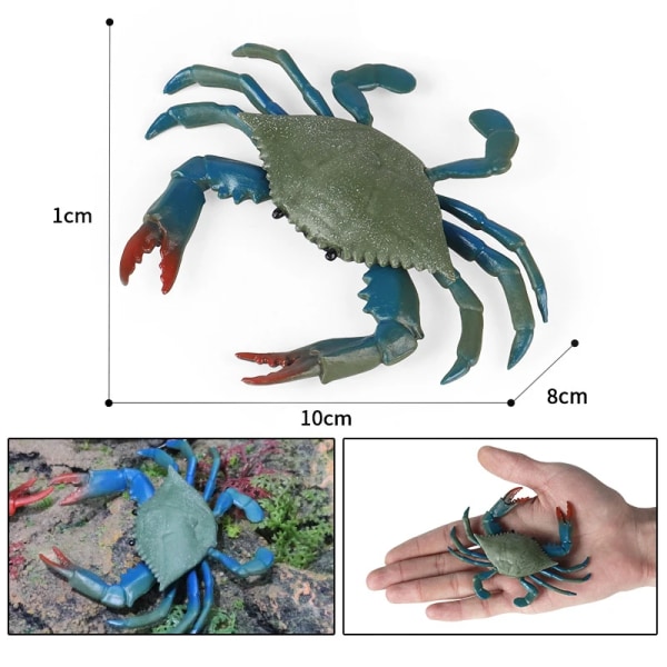 2022 Ocean Simulering Krabba Figurines Collection Sea Life Eremitkrabba Hummer Stingrocka Modell Action Figur Havsdjur Barnleksak