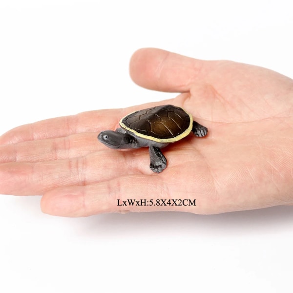 Realistiska miniatyrer Marint liv Havssköldpadda Modell Havsdjur Sköldpaddafigurer Akvariumdekoration Aquarium Tillbehör Leksaker