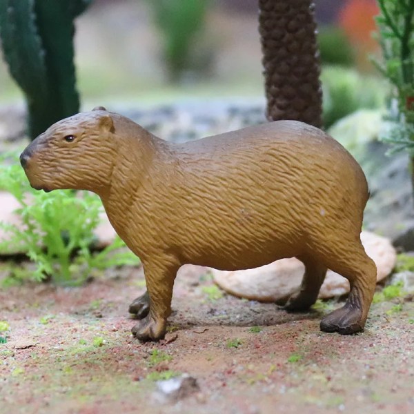 2023 New Zoo Wildlife Insekter Capybara Farm Animal Model Figurine Mysk Oxar Ekorrar Action Figur Collection Barnleksaker