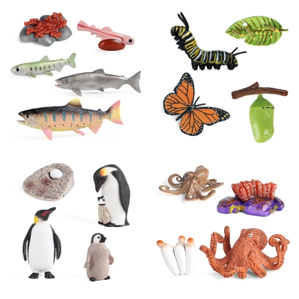 Ny Simulering Havsdjur Insekt Livscykelmodell Bläckfisk Tillväxtcykel Figurer Actionfigurer Barn Kognitiv Tidig leksak Samla