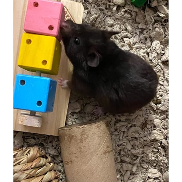 Hamster tuggleksaker, naturliga trä slipande tänder leksaker för marsvin