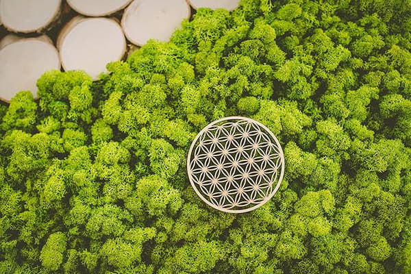 10 stk. Brikker i bjørk med Livets Blomst-design