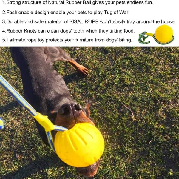 Boll med snöre, hundleksak, boll, hundleksak, vattenflytande, KLB