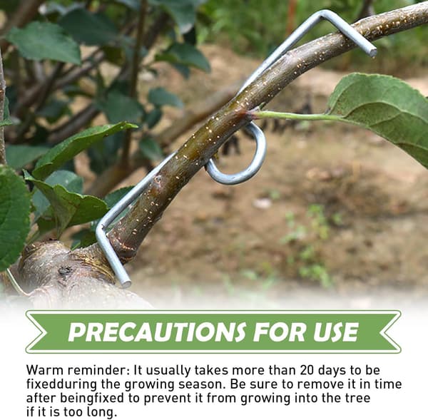 30 Pieces Fruit Tree Branch Spreaders, Fruit Branch Holders, Metal Branch Clips for Garden Branches, for Spreading and Stretching Fruit Tree Branches