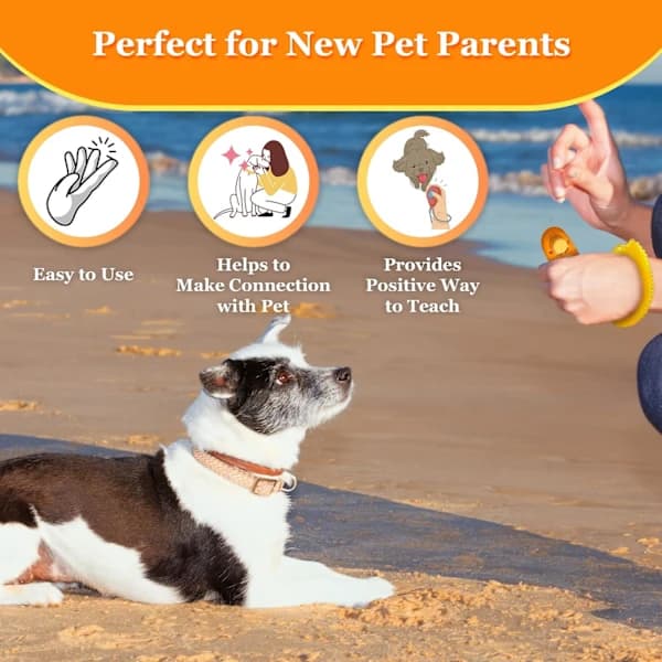 Dog Clicker with Wrist Strap - Colorful and Practical, Simple and Effective