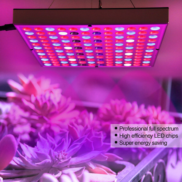 Växtlampa 45W LED växtljus fullspektrum växtlampa växtljus 25W EU Stecker 25W EU Stecker