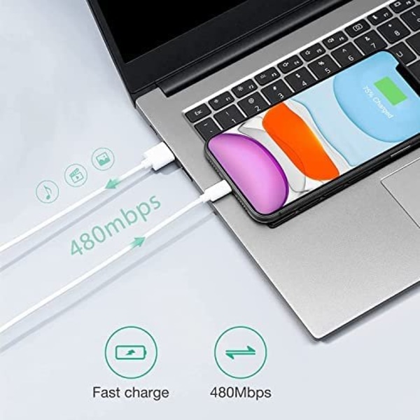 (Specialtilbud) 5 stk. 1m iPhone opladerkabel