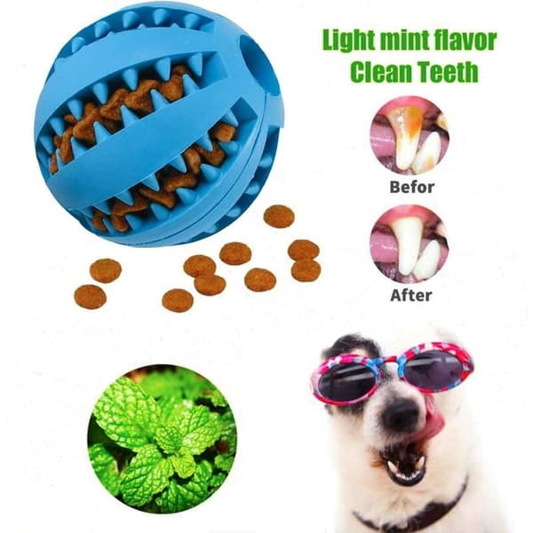 Läckagesäker husdjursboll, hundleksaksboll, tuggtålig vattenmelonboll, elastisk molar 1*Röd+1*Mörkblå Rund Liten-5cm