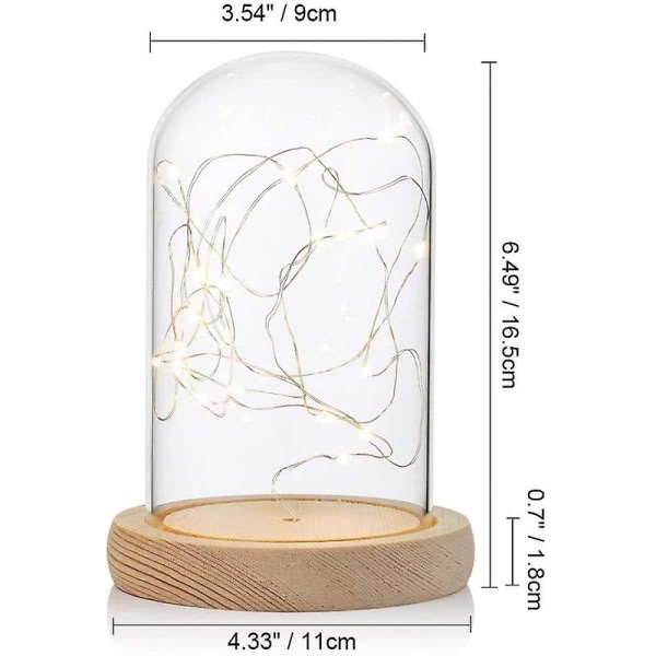 Bell Glas dekoration med kork basplatta glas kupol dekoration, glas kupol med led ljus kedja batteri för display kupol lampa, dekorativ fyllning, E