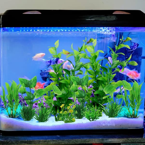 Akvarium Dekor Plante, Grønne Kunstige Planter Akvarium