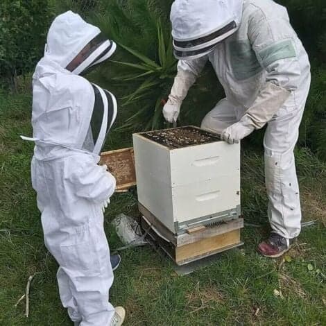 Biodlingskläder med handskar, barnbiodlingsdräkt - Långärmad bomull, barnskyddsutrustning, biodlingstillbehör (M, vit)