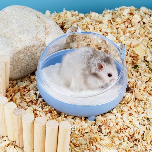 Hamster Sandbad Beholder Hamster Sandbad Boks GUL Yellow