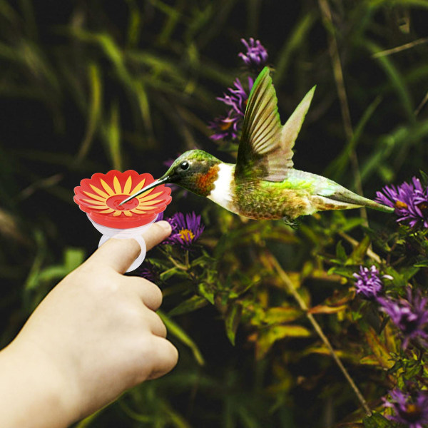 Hummingbird Ring Matare Hand Mata Hummingbirds Bakgård Fågel Dekoration