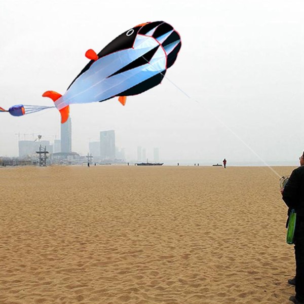 3D kite jätte ramlös mjuk parafoil jätte valdrake black