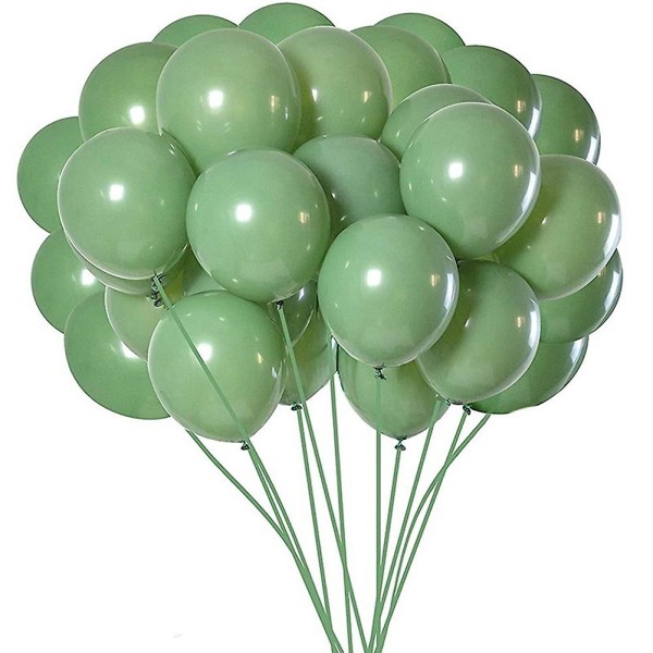 100st Gröna Ballonger Olivgröna Ballonger Eucalyptus Party Latex