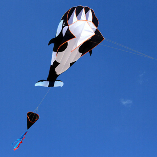 3D kite jätte ramlös mjuk parafoil jätte valdrake black