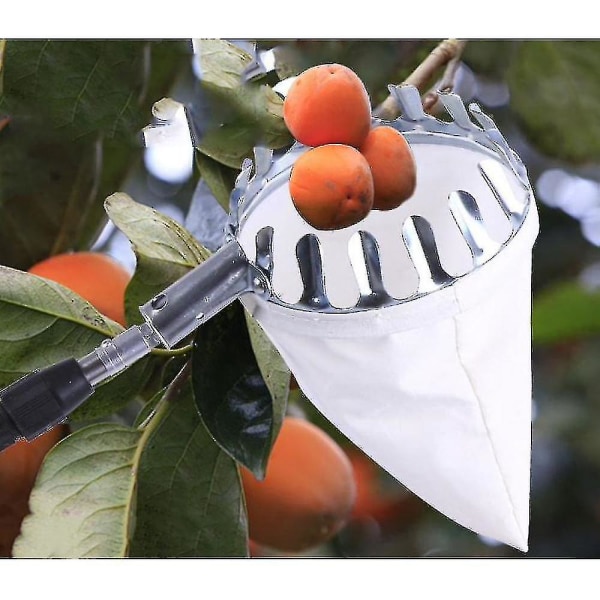 -fruktplockare med nylon Korg Arbete Trädgårdsskötsel Gårdsplockare Verktyg