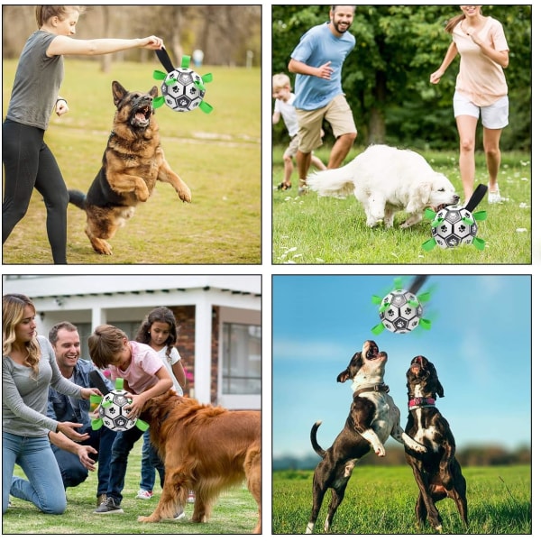 Hundfotboll, interaktiva tuggleksaker, IQ-träningsboll för husdjur