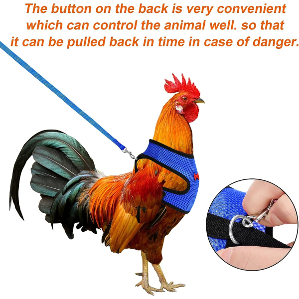 Justerbar kycklingbröstsele med axelremmar, komfortväst för kyckling, andas, för 1-5 kg ​​Medium (blå)