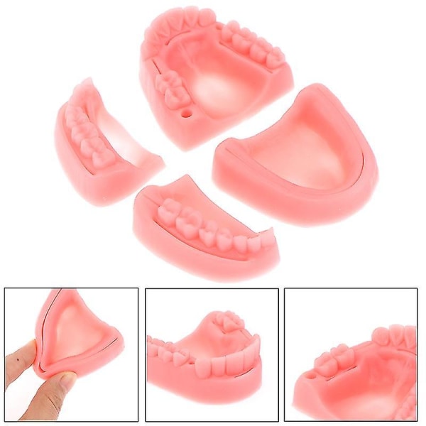 4st Dental Simulering Oral Sutur Modell Gum Sutur Undervisning Träningsutrustning