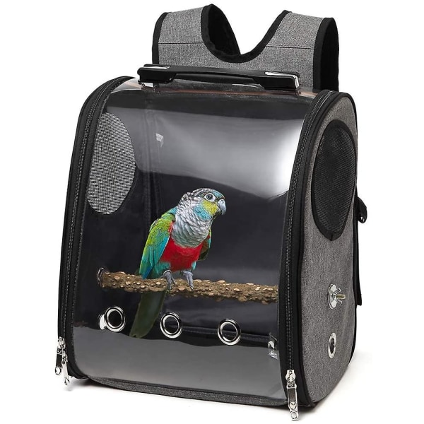 Fågel papegoja ryggsäck resväska med abborre fäste papegoja papegoja papegoja fågel lovebird liten och medelstor fågelbur