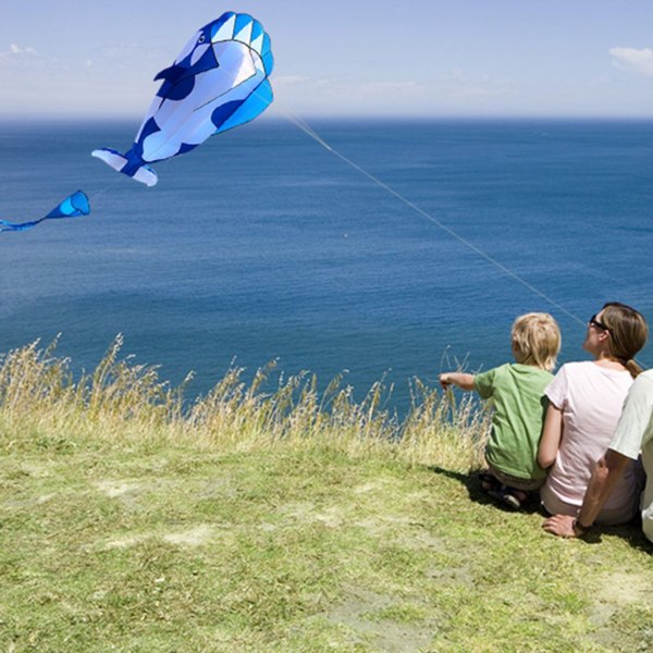 3D kite jätte ramlös mjuk parafoil jätte valdrake blue