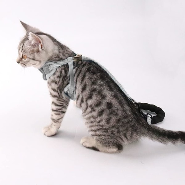 Kattsele och set för att förhindra flykt, justerbart mjukt kittyvästbälte