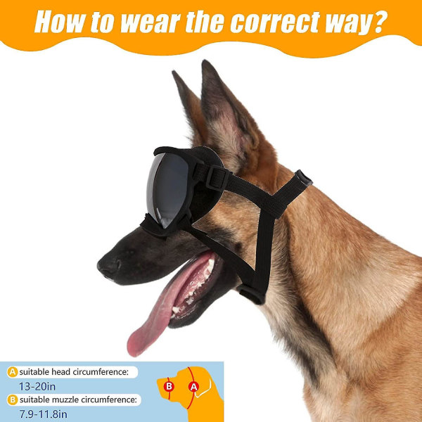 Hund med justerbar rem, UV-skydd vindtät och dammtät hundsolglasögon för stora och medelstora raser