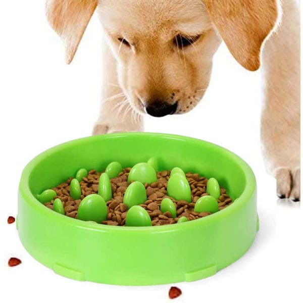Halkfri design för slow food-skål för husdjur