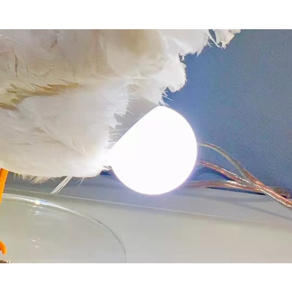 Kyckling LED-lampa, äggnattlampa, djurexemplar, äggbordslampa