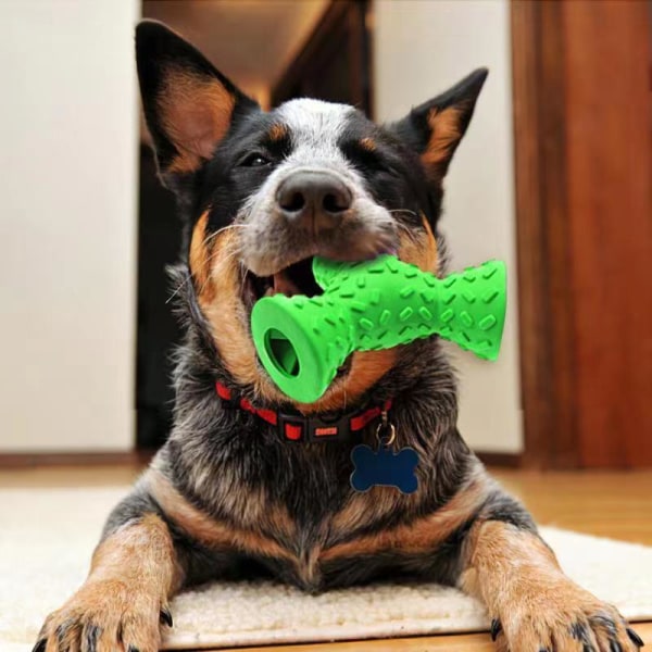 Hundsnackbollleksaker, interaktiva hund IQ pedagogiska leksaker, 3-håls matdistribution husdjursleksaker green