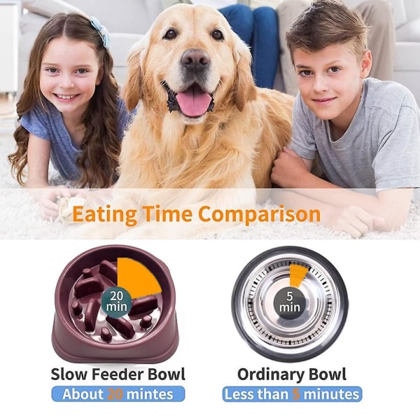 Dog Slow Feeder Bowl, - Anti-gulping Pet Slower Food Matningsskålar purple