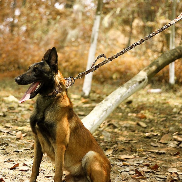 1st Taktisk Nylon Hundhalsband Stor Medium Hund Justerbar Storlek Halsbandskoppel Hundkoppel Hundkoppel camouflage