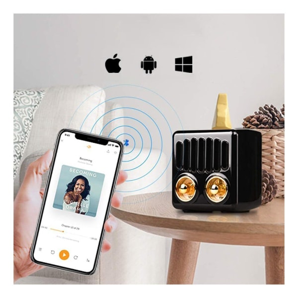 Bärbar Bluetooth -högtalare Bluetooth 4.2 trådlös högtalare med FM-radio