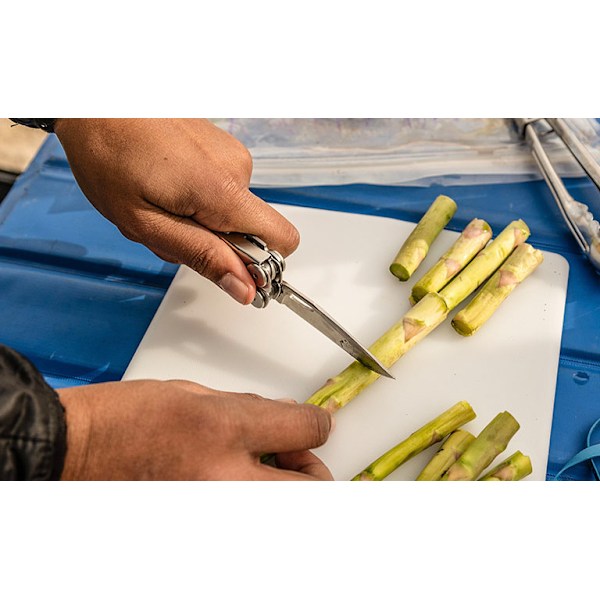 Leatherman Curl