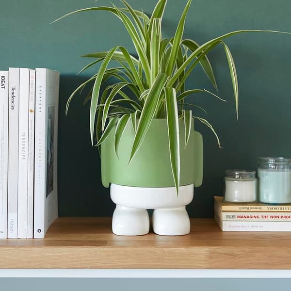 Balvi Ceramic Flower Pot Mr. Standy Green