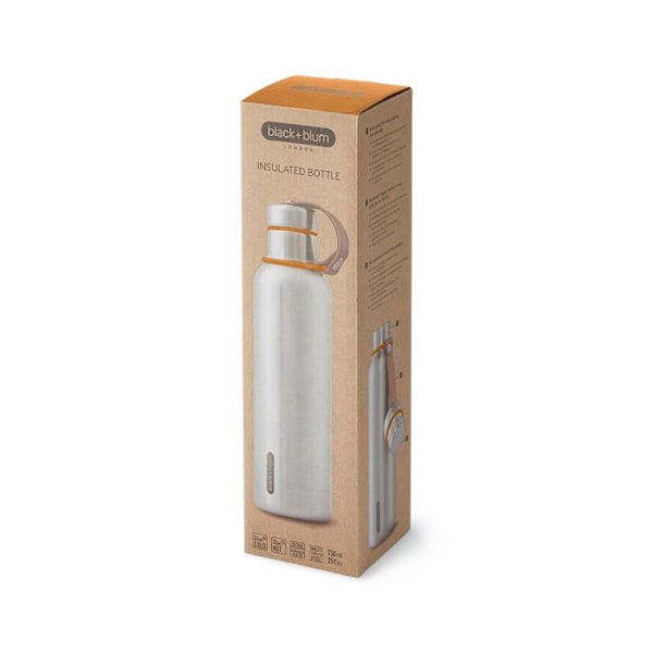 Black + Blum Insulated Water Bottle Large Ocean