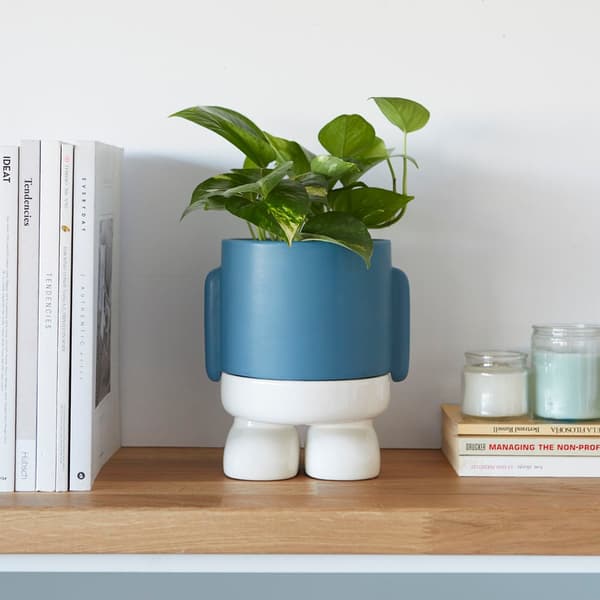 Balvi Ceramic Flower Pot Mr. Standy Green