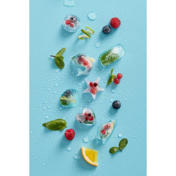 Lékué Ice Cube Tray - Dolphin - Turqoise