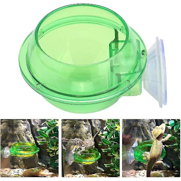 Sugkopp Anti-escape Reptil Matbolle Transparent Orm Levende Fôrbeholder