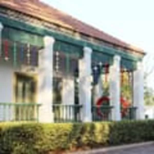 Reflekterende fugleskremsel 10-pakning