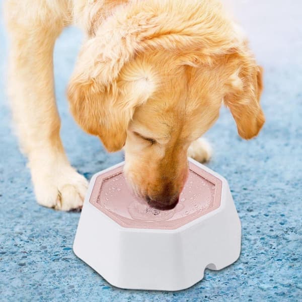 Flydende kæledyrsvandskål, spildresistent PP-design med flydende skive og skridsikker base til hunde og katte, blå