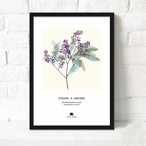Wekity Pastoral Flower Wall Art Canvas Print Poster, Simple Fashion Watercolor Art Drawing Decor for Home Living Room Bedroom Office and Children's Ro