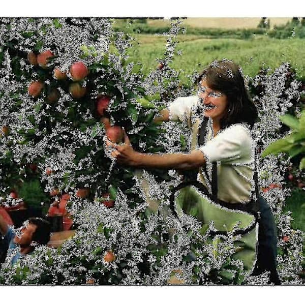 Fruktplukkpose Hageplukkpose Plukkforkle