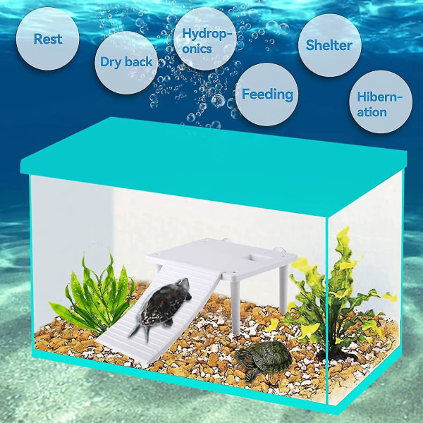 Skildpadde Klatreplatform Terrasse Akvarium Krybdyr Habitat Med En Stærk Sugekop