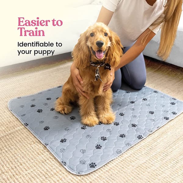 Genanvendelig træningsmåtte til kæledyr, vaskbar absorberende polyestermåtte med skridsikker bagside til hunde og katte, grå 50 x 70 cm