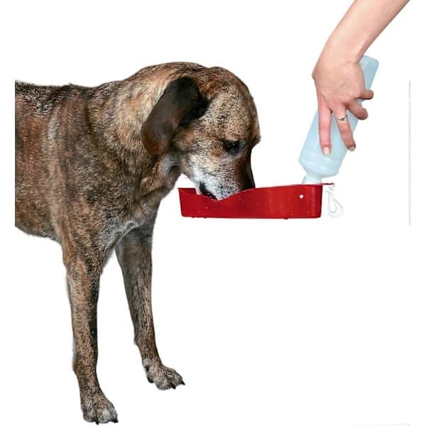 HA~1. Drkflaska kulholla, 500 ml (Musta)